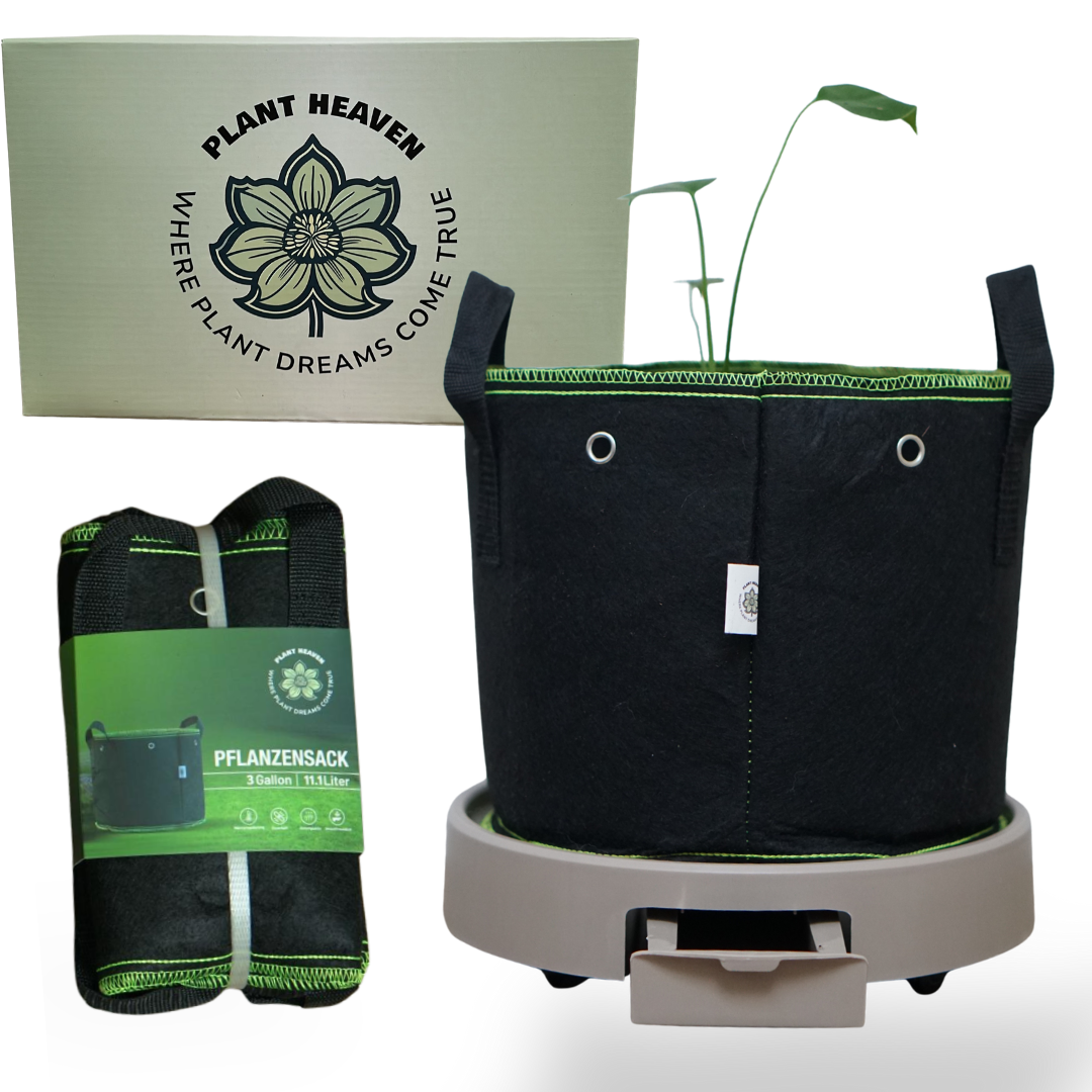 Stofftöpfe aus Vlies 11L / 19L & 26L – robuste Grow Bags | Atmungsaktiv & stabil