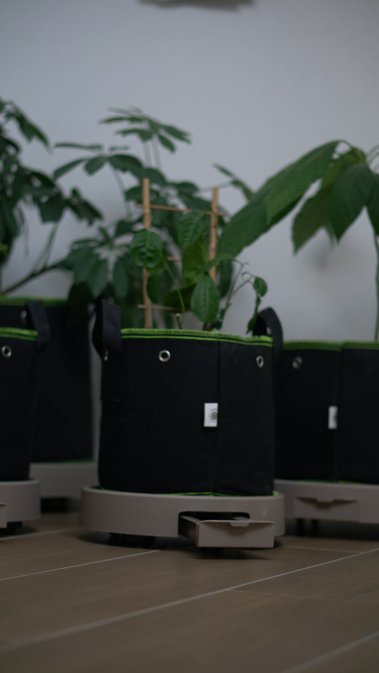 Blumentopf Untersetzer 26cm Durchmesser