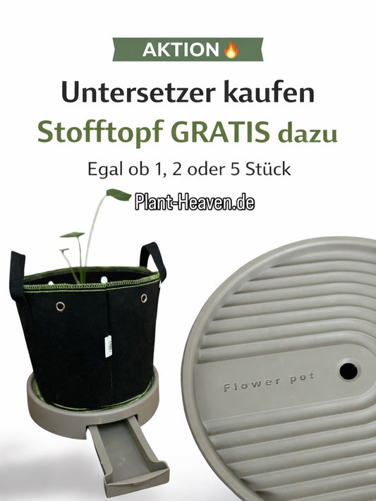 Pflanzenuntersetzer mit Wasserbehälter & Rollen – Ø 35,5 cm