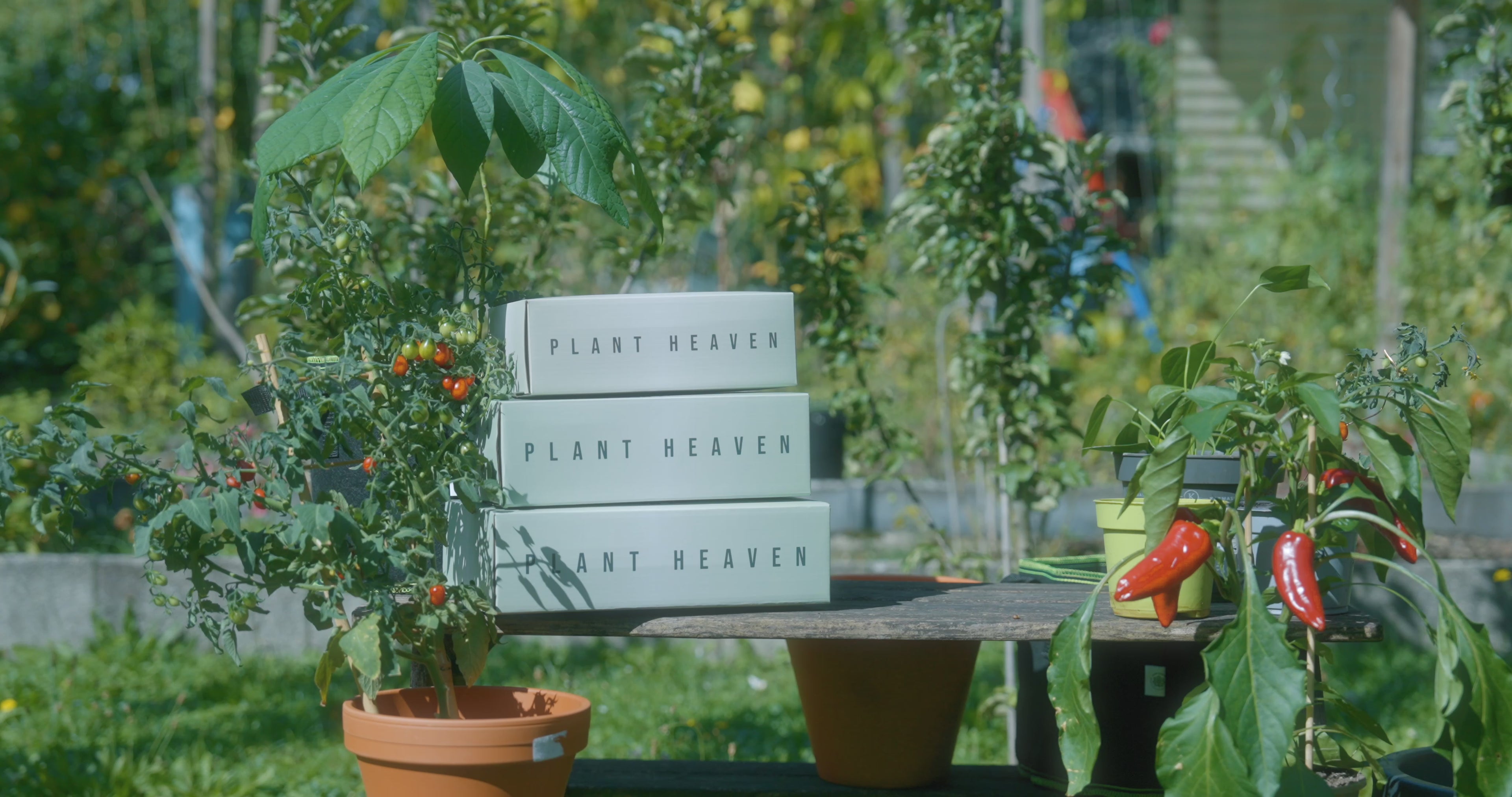 Video laden: 